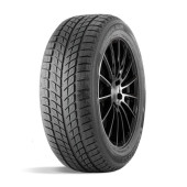 Шины DoubleStar  255/50/19  T 107 DW09