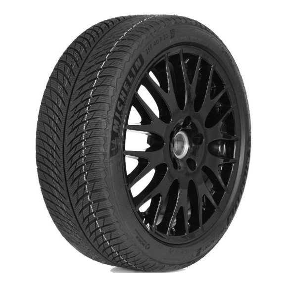 Шины Michelin  275/35/22  W 104 PILOT ALPIN 5 SUV  XL  старше 3-х лет