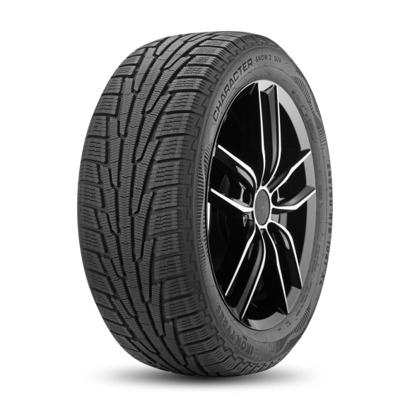 Шины Ikon 225/65 r17 Character Snow 2 SUV (Nordman RS2 SUV) 106R Шины Ikon 225/65 r17 Character Snow 2 SUV (Nordman RS2 SUV) 106R