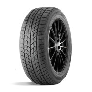 Шины DoubleStar 275/40/20 V 106 DW09 XL Шины DoubleStar 275/40/20 V 106 DW09 XL